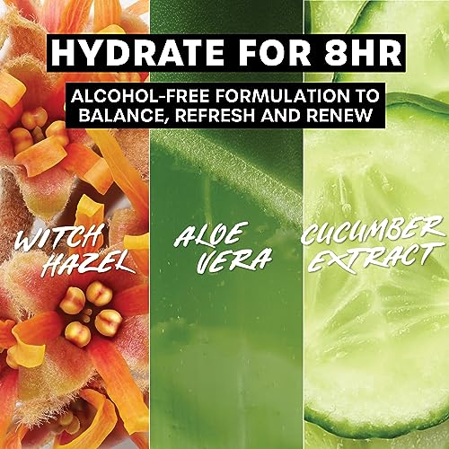Thayers Witch Hazel Gentle Facial Mist Unscented Toner Lotion with Organic Aloe Vera